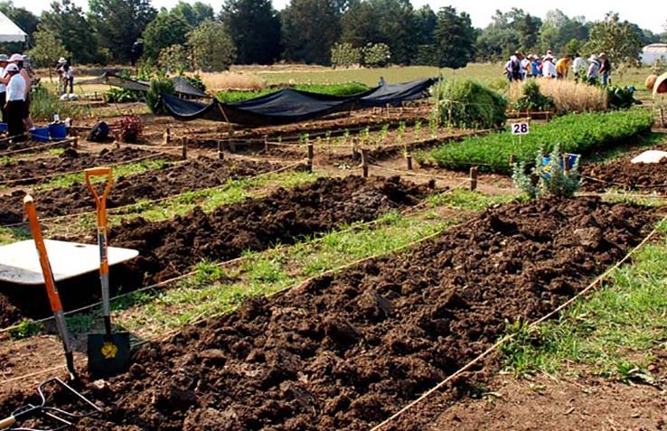 Que es la agricultura Biointensiva o Sistema biointensivo Perú