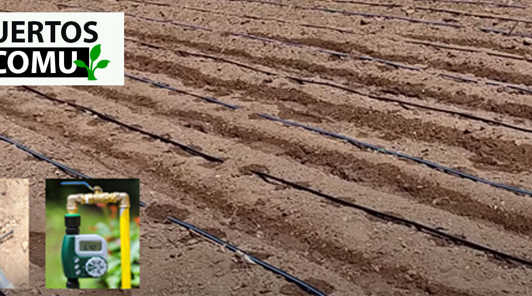 Instalación de sistema de riego por goteo Perú