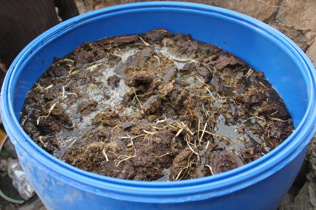 Fertilizante Natural-Biol