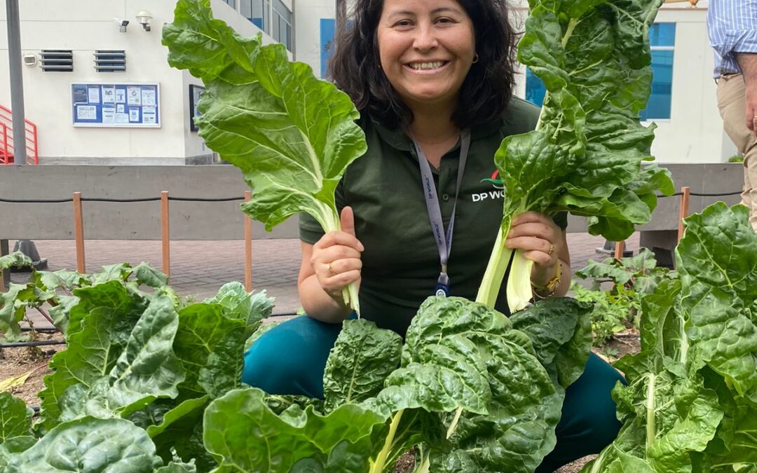 Importancia de las áreas verdes en las empresas