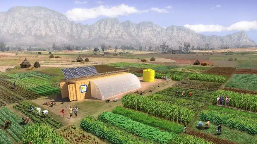 Este contenedor trae todo lo necesario para montar un huerto y alimentar a 150 personas