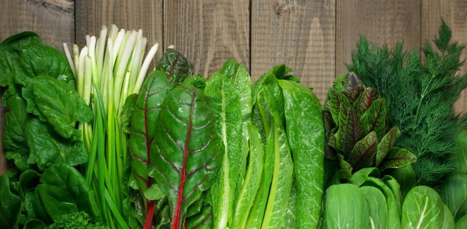Verduras orgánicas Perú