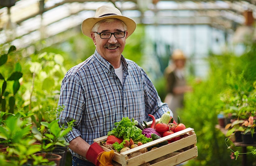 Rompiendo el ciclo: Aprender a Consumir lo que Producimos para una Vida más Saludable y Sostenible