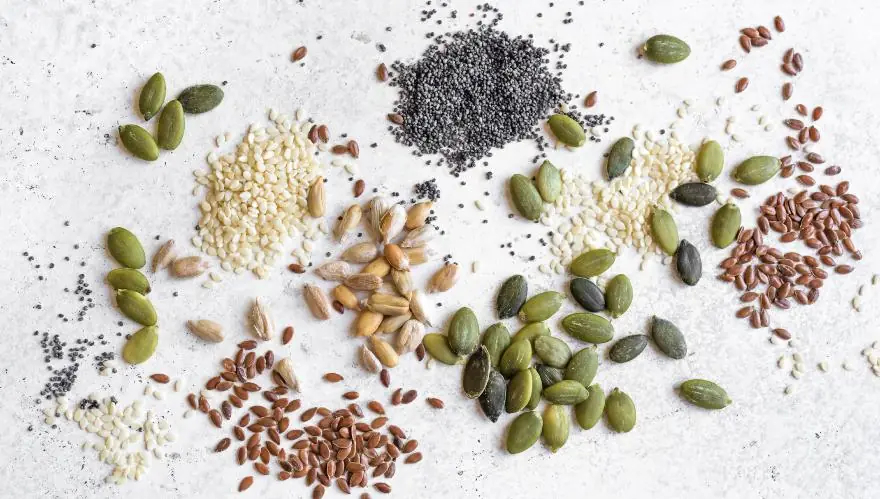 Semillas: La Clave de la Soberanía Alimentaria y la Sostenibilidad