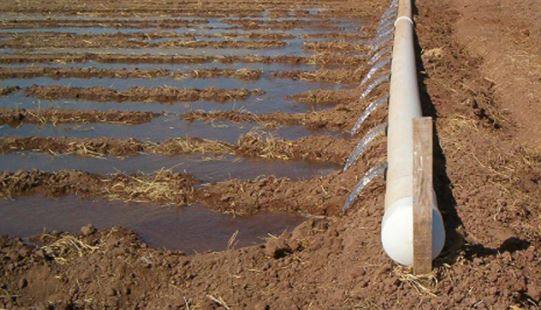 Métodos de ahorro de agua en la agricultura