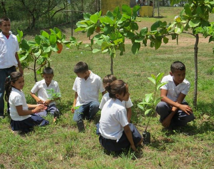 Áreas Verdes en las Instituciones Educativas Perú