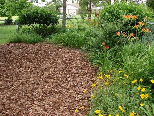 Cobertura natural para el suelo, Mulch o acolchado para huertos y jardines.