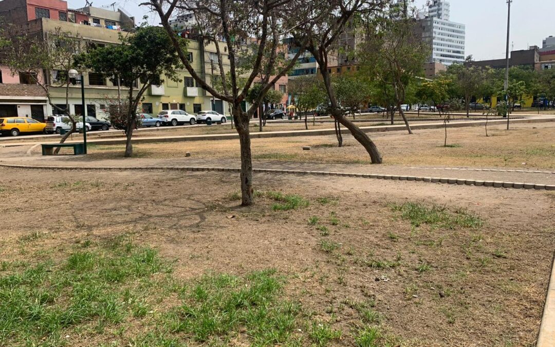 Déficit de áreas verdes en las ciudades