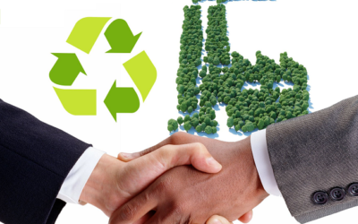 Responsabilidad Social y ambiental en las empresas