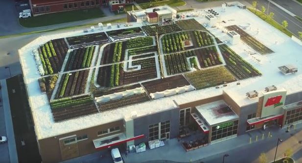 Supermercados producen sus alimentos frescos en su techo