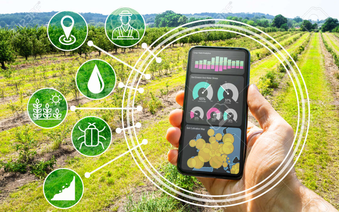 Automatización de Riego en Áreas Verdes: Eficiencia Potenciada por Dispositivos Solares y Seguimiento en Tiempo Real IoT